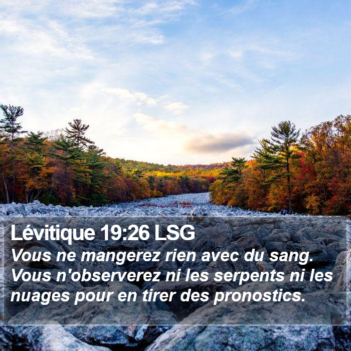 Lévitique 19:26 LSG Bible Study