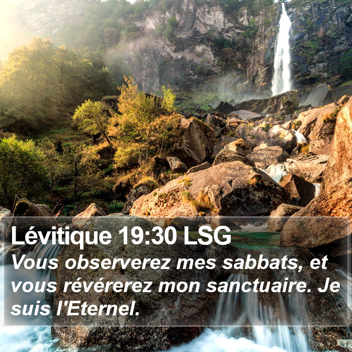 Lévitique 19:30 LSG Bible Study