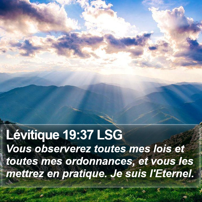 Lévitique 19:37 LSG Bible Study