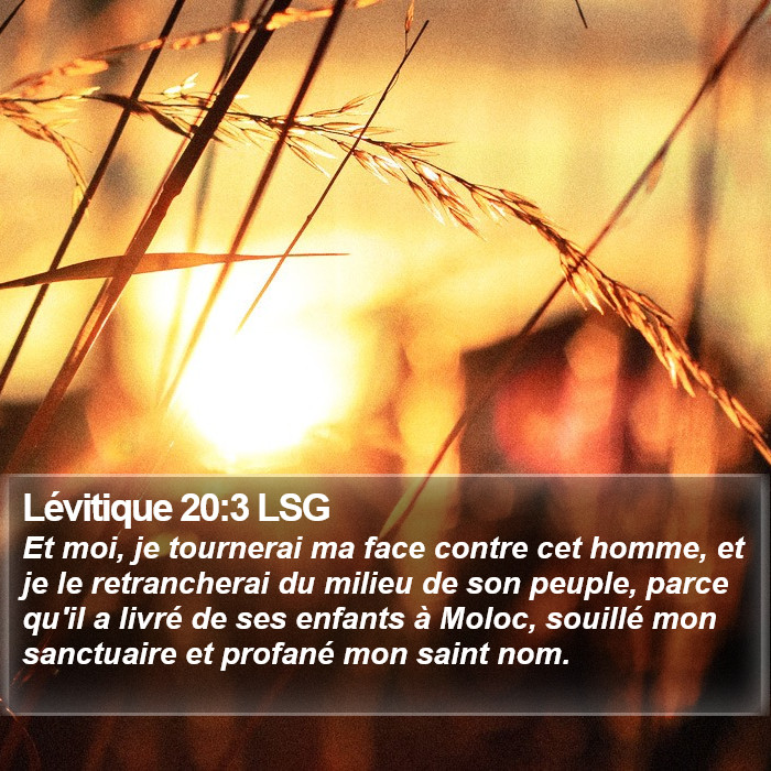 Lévitique 20:3 LSG Bible Study