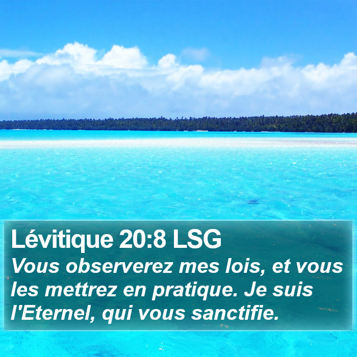 Lévitique 20:8 LSG Bible Study