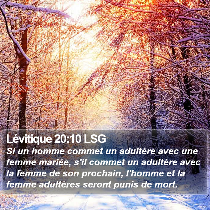 Lévitique 20:10 LSG Bible Study
