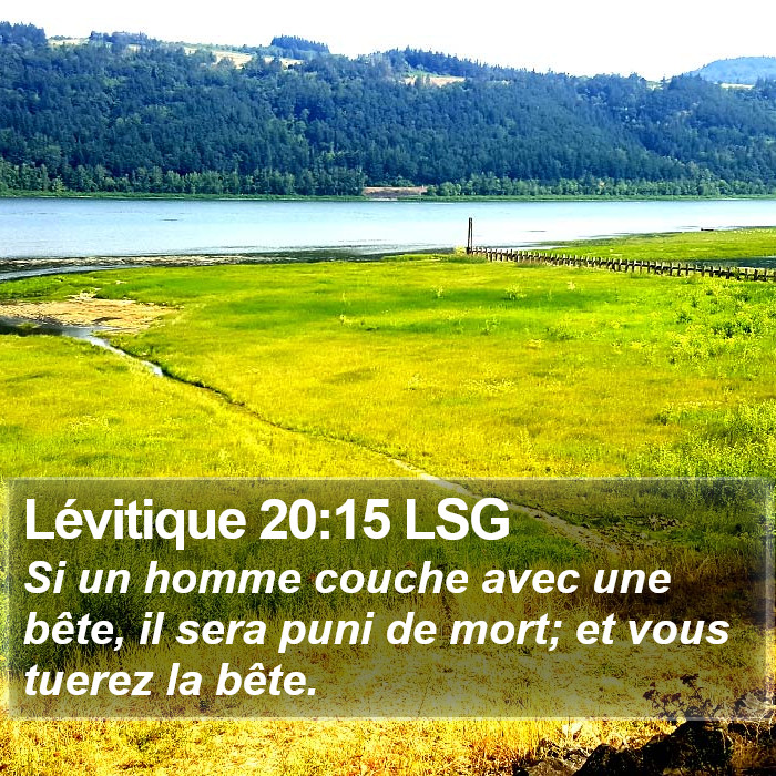 Lévitique 20:15 LSG Bible Study