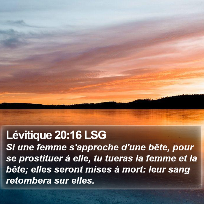 Lévitique 20:16 LSG Bible Study