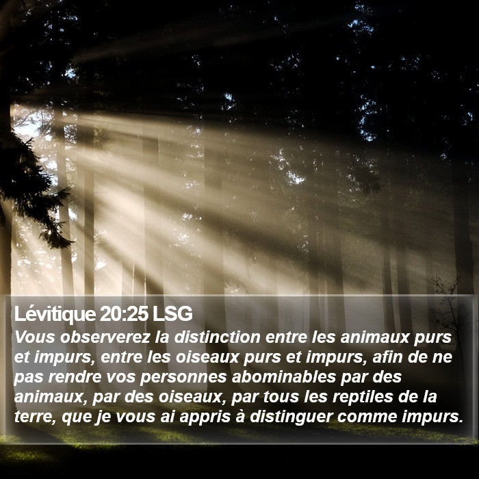 Lévitique 20:25 LSG Bible Study