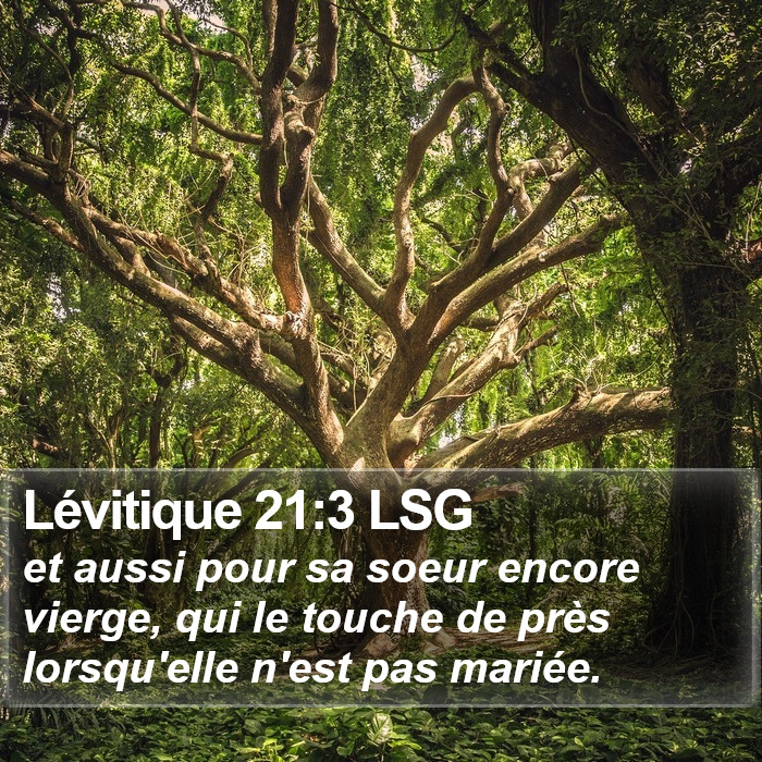Lévitique 21:3 LSG Bible Study