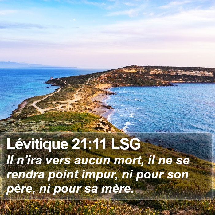 Lévitique 21:11 LSG Bible Study