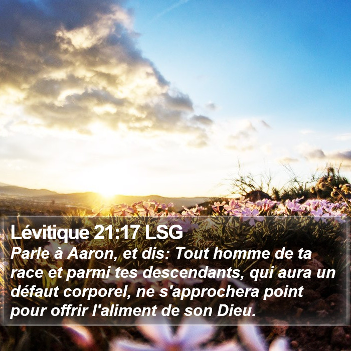 Lévitique 21:17 LSG Bible Study