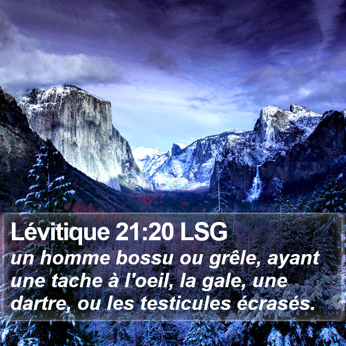 Lévitique 21:20 LSG Bible Study