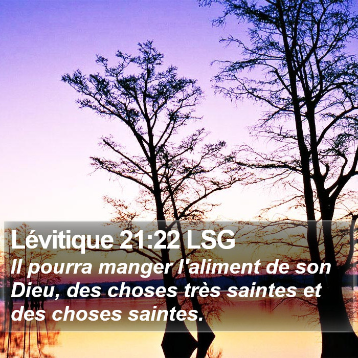 Lévitique 21:22 LSG Bible Study
