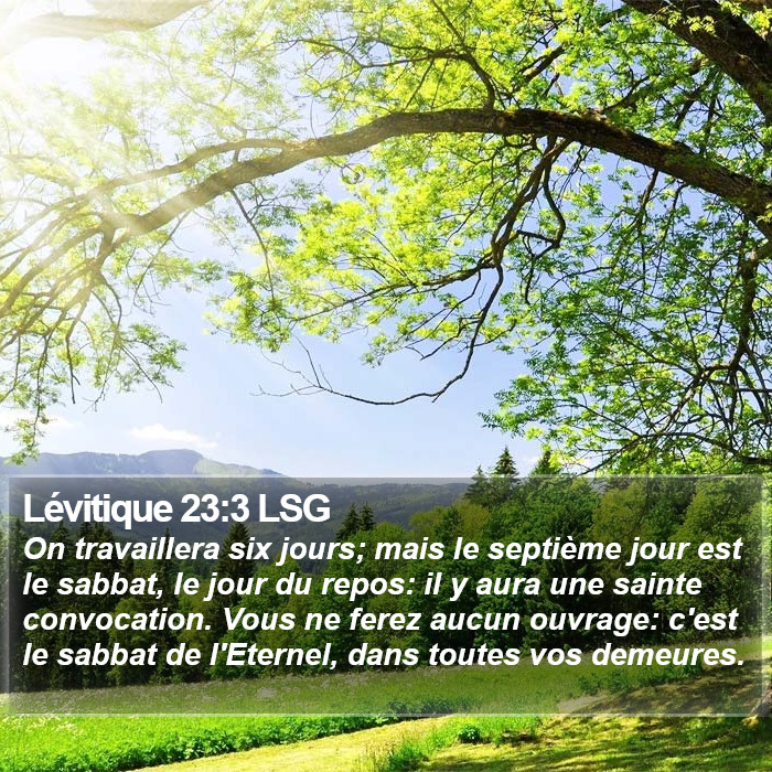 Lévitique 23:3 LSG Bible Study
