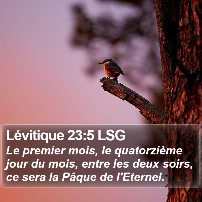Lévitique 23:5 LSG Bible Study