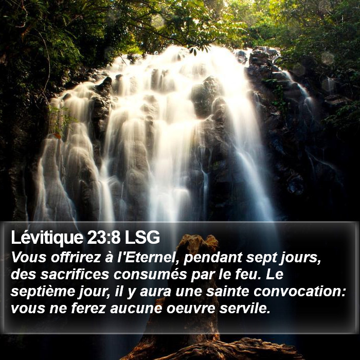 Lévitique 23:8 LSG Bible Study