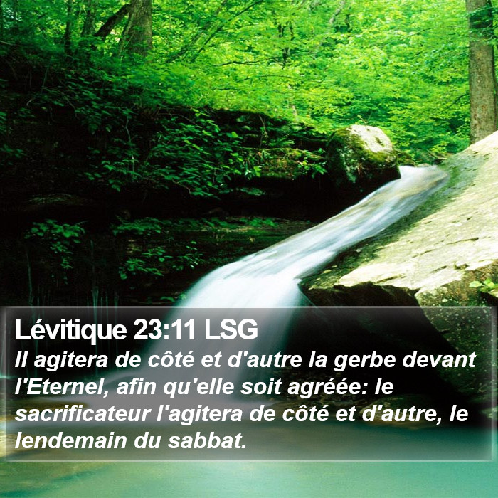 Lévitique 23:11 LSG Bible Study