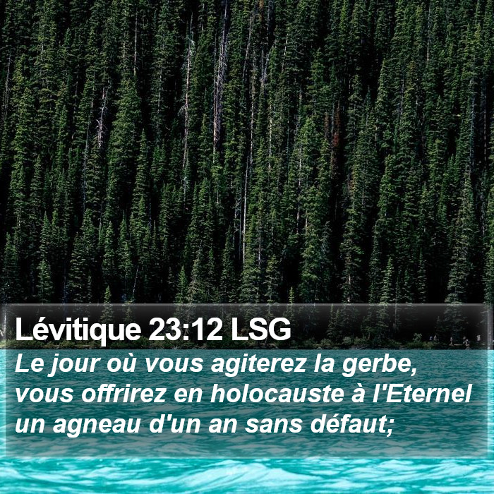 Lévitique 23:12 LSG Bible Study