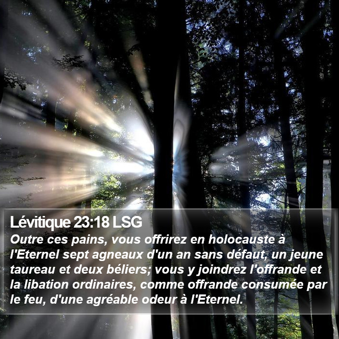 Lévitique 23:18 LSG Bible Study