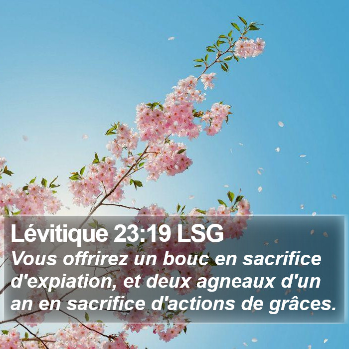 Lévitique 23:19 LSG Bible Study