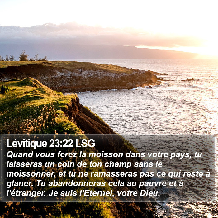 Lévitique 23:22 LSG Bible Study