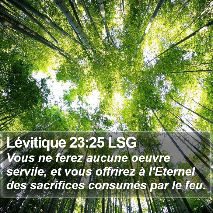 Lévitique 23:25 LSG Bible Study
