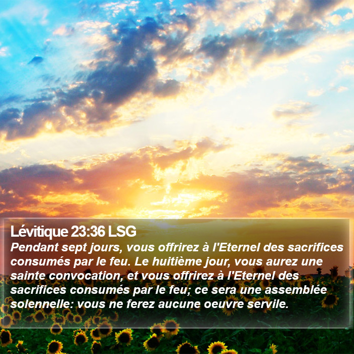 Lévitique 23:36 LSG Bible Study