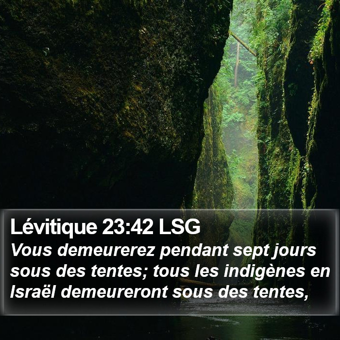 Lévitique 23:42 LSG Bible Study