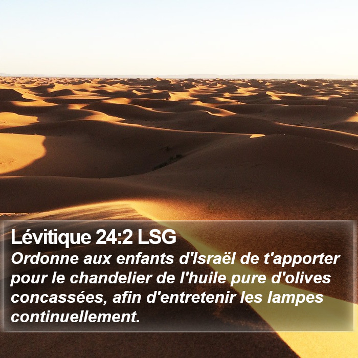 Lévitique 24:2 LSG Bible Study