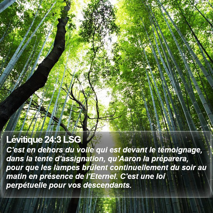 Lévitique 24:3 LSG Bible Study