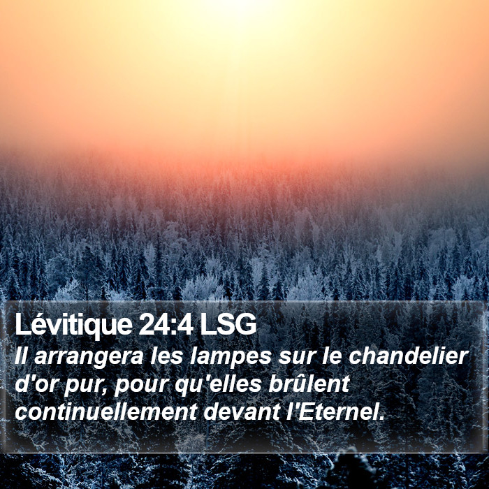 Lévitique 24:4 LSG Bible Study
