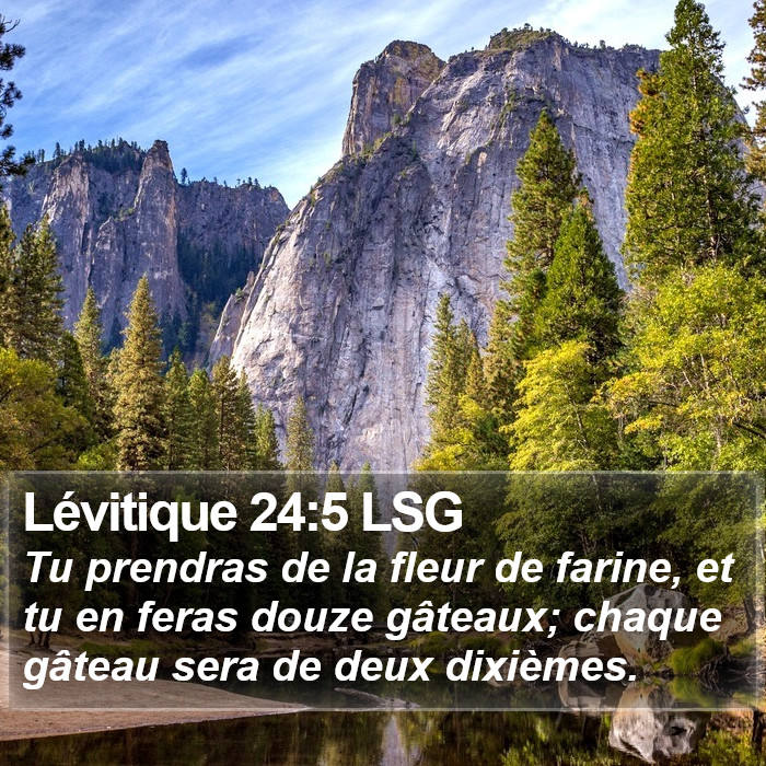 Lévitique 24:5 LSG Bible Study