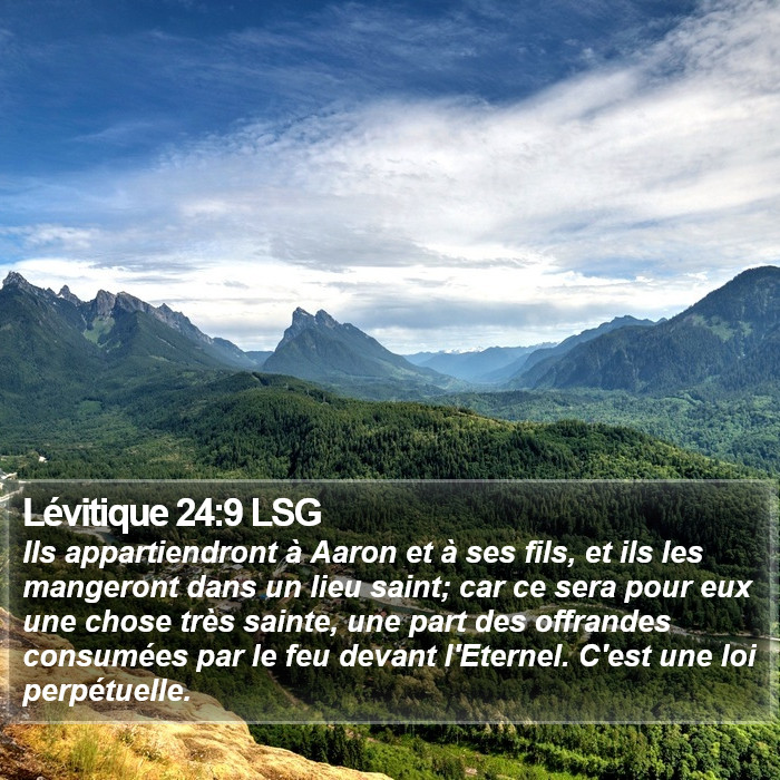 Lévitique 24:9 LSG Bible Study