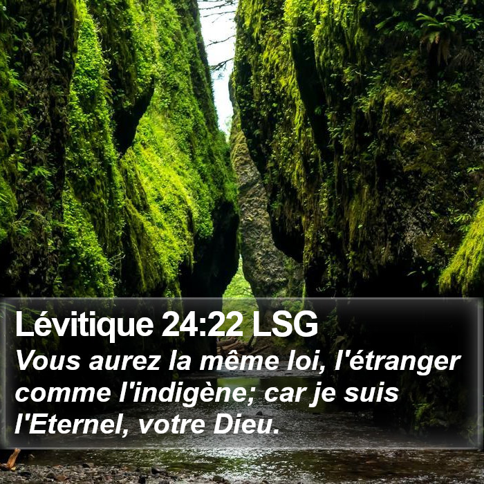 Lévitique 24:22 LSG Bible Study