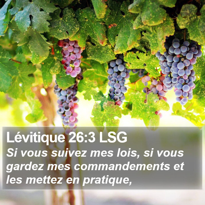 Lévitique 26:3 LSG Bible Study