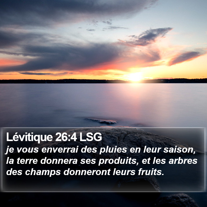 Lévitique 26:4 LSG Bible Study