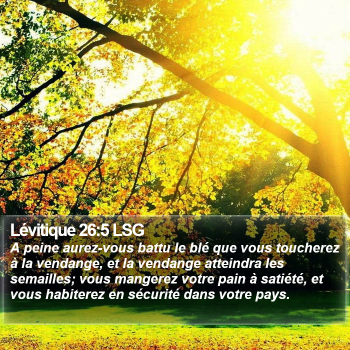 Lévitique 26:5 LSG Bible Study
