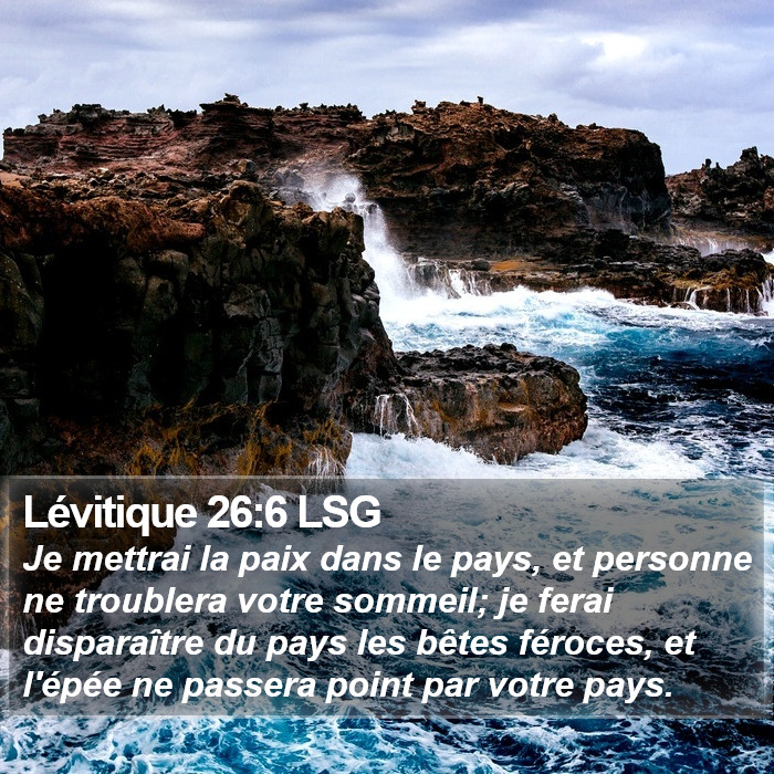 Lévitique 26:6 LSG Bible Study