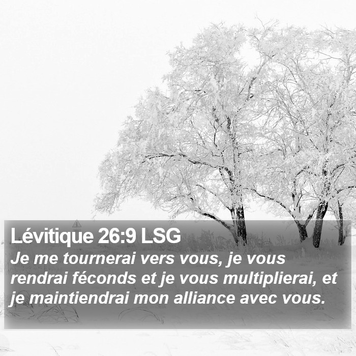 Lévitique 26:9 LSG Bible Study
