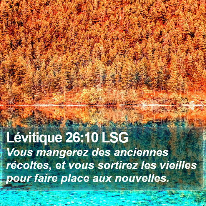 Lévitique 26:10 LSG Bible Study