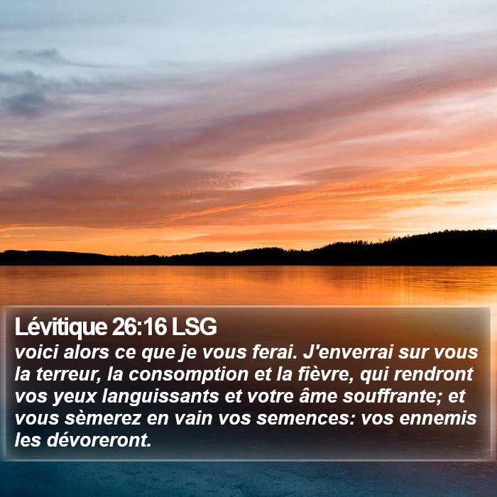 Lévitique 26:16 LSG Bible Study
