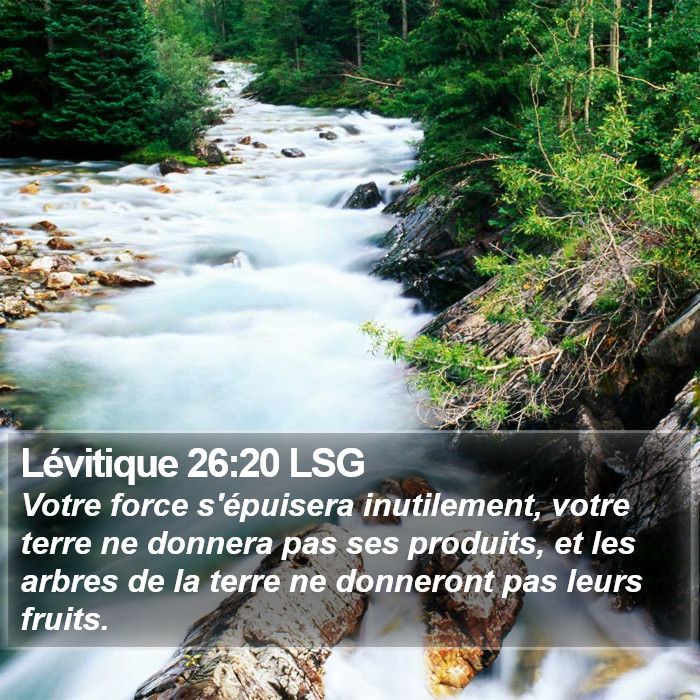 Lévitique 26:20 LSG Bible Study