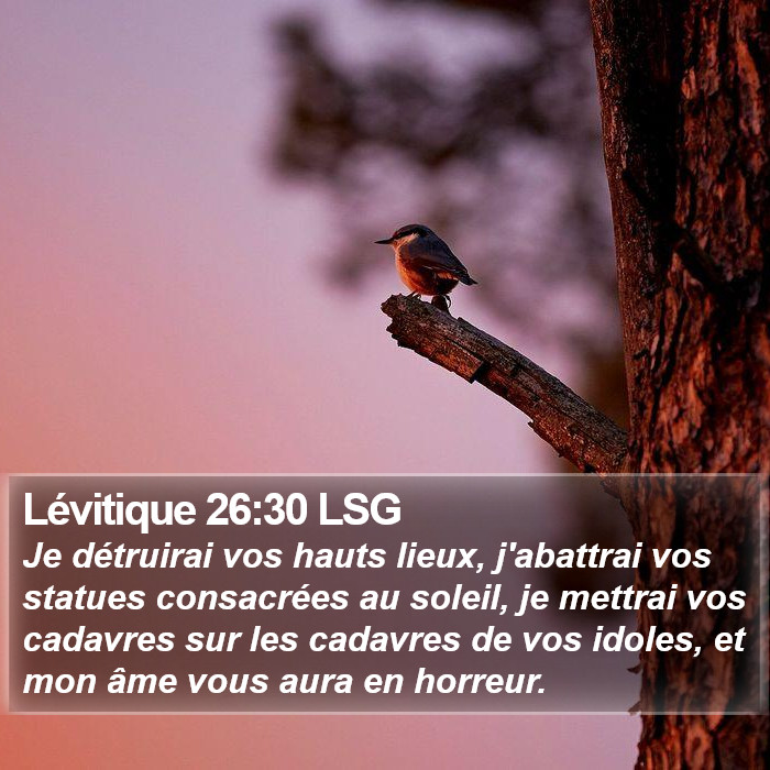 Lévitique 26:30 LSG Bible Study