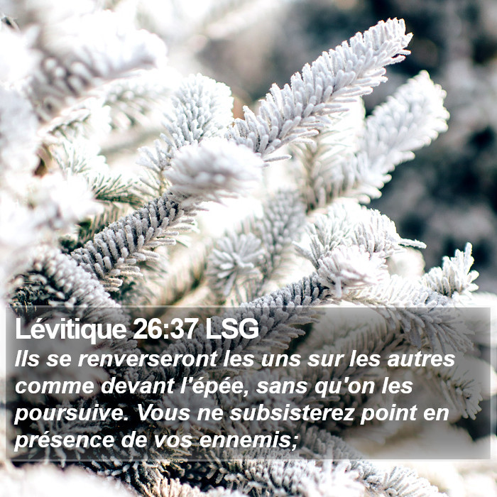 Lévitique 26:37 LSG Bible Study