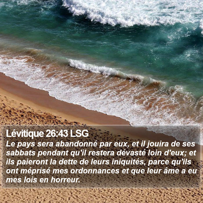 Lévitique 26:43 LSG Bible Study