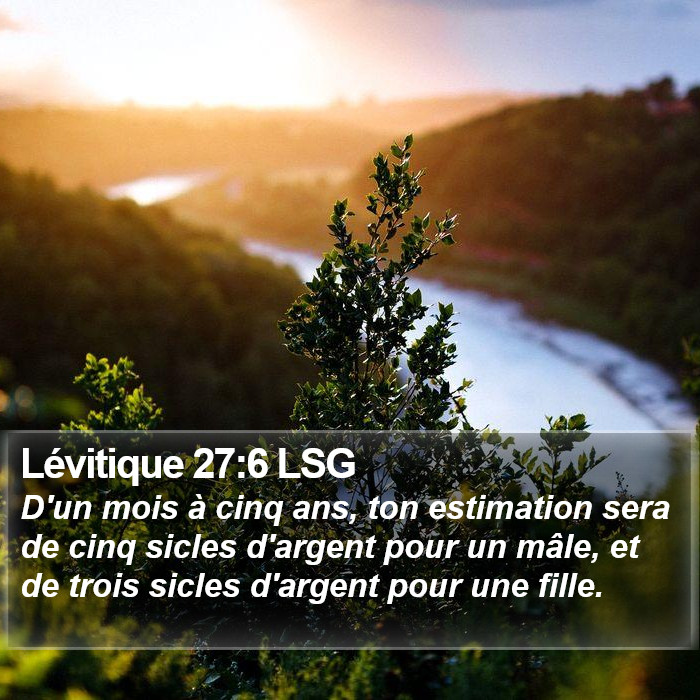 Lévitique 27:6 LSG Bible Study
