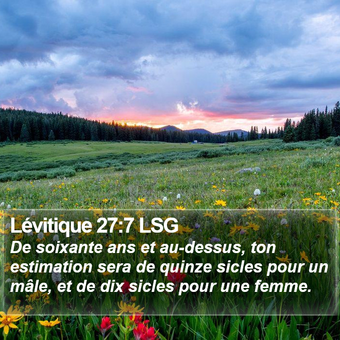 Lévitique 27:7 LSG Bible Study