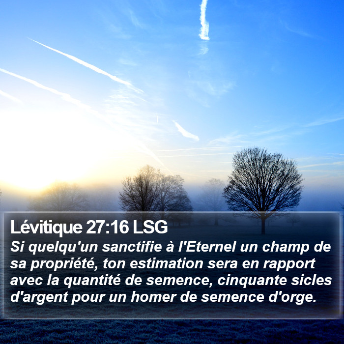 Lévitique 27:16 LSG Bible Study