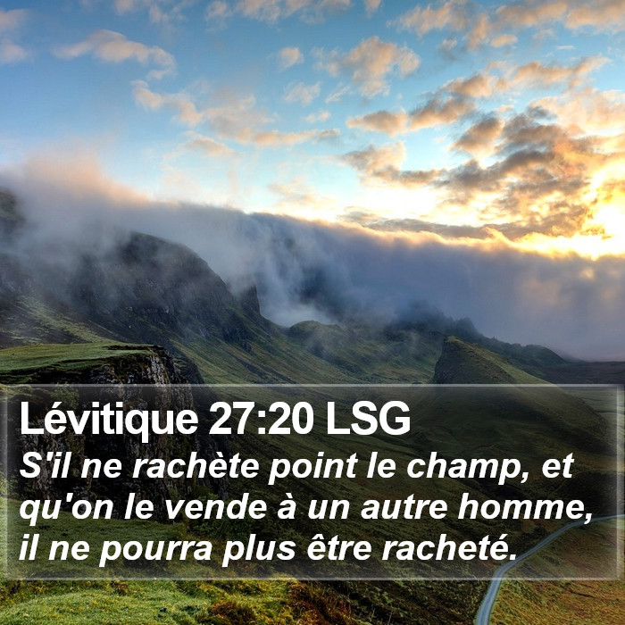 Lévitique 27:20 LSG Bible Study