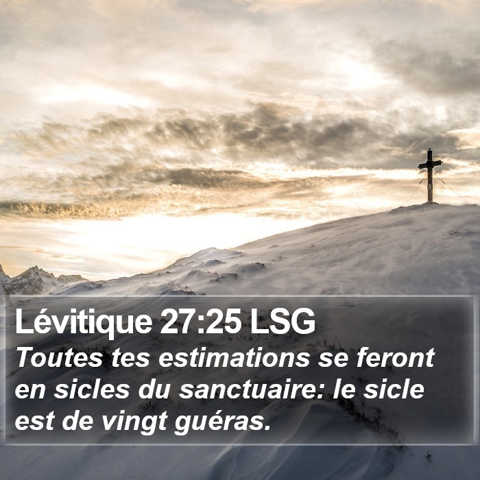 Lévitique 27:25 LSG Bible Study