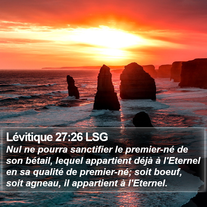 Lévitique 27:26 LSG Bible Study