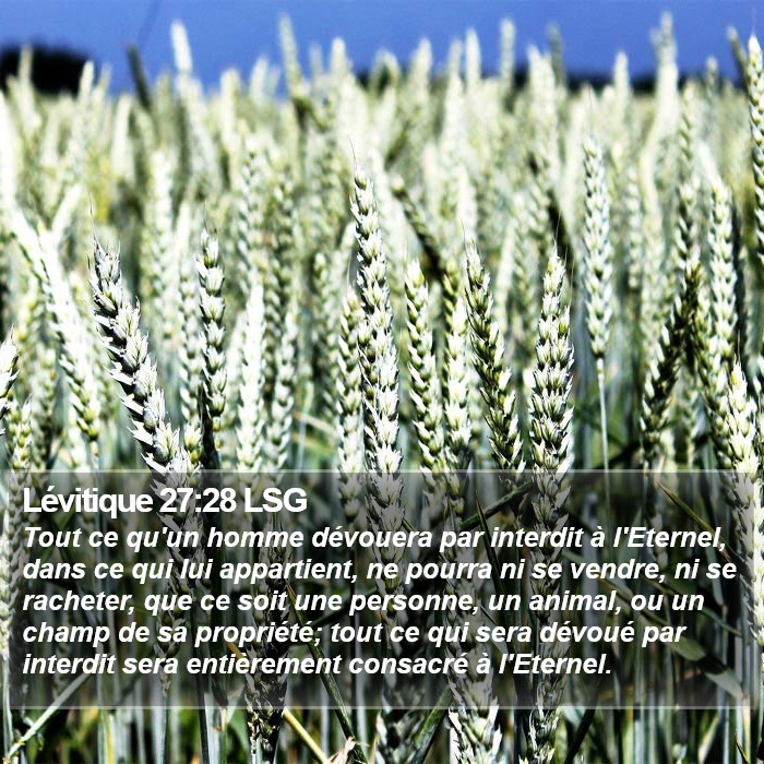 Lévitique 27:28 LSG Bible Study