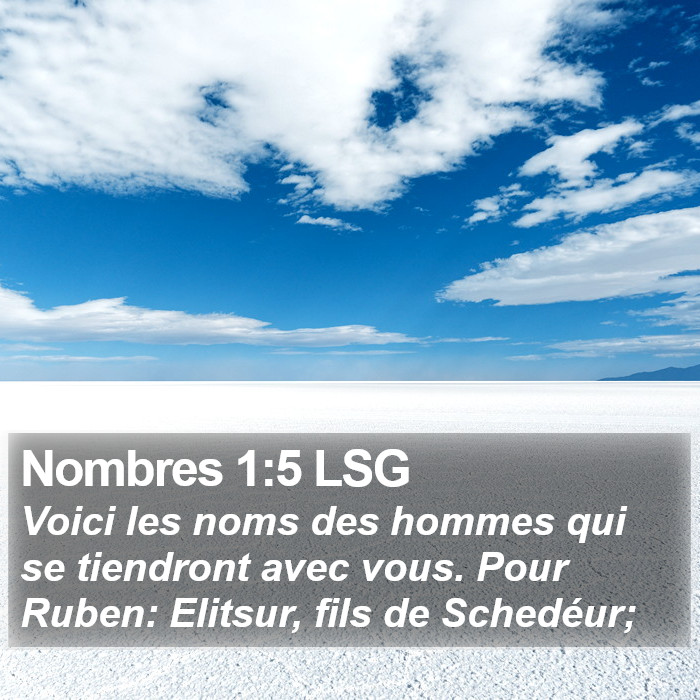 Nombres 1:5 LSG Bible Study